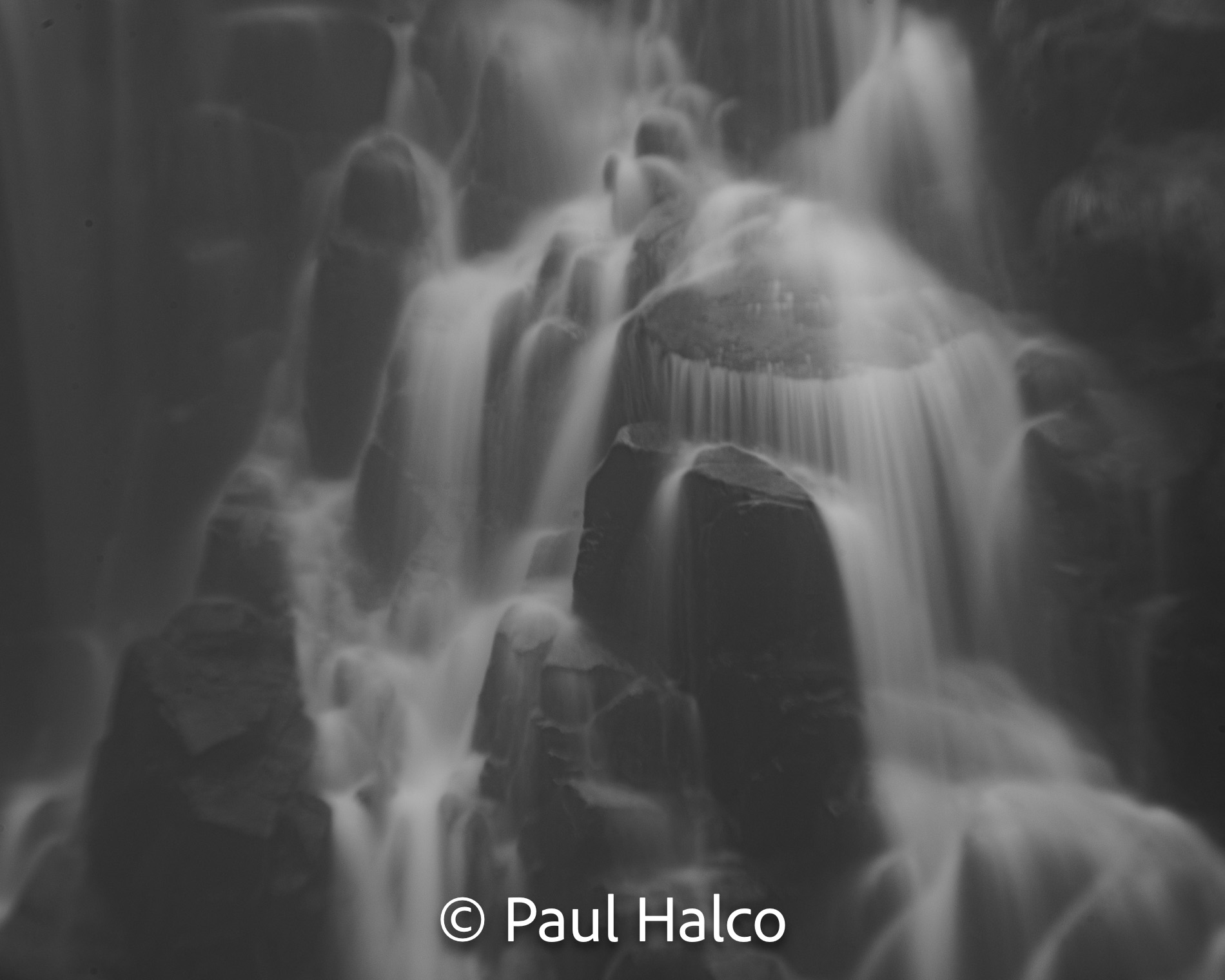 Paul Halco - Mt Ranier NP-9